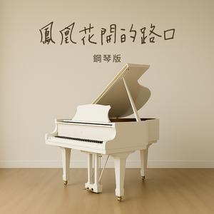 凤凰花开的路口 (钢琴版)