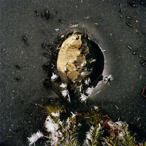 la ronde des saisons