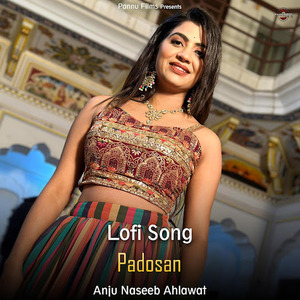 Padosan (lofi remix)