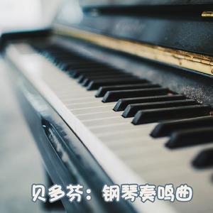 第8号钢琴奏鸣曲"悲怆" in C Minor, Op. 13 No. 8:第一乐章.