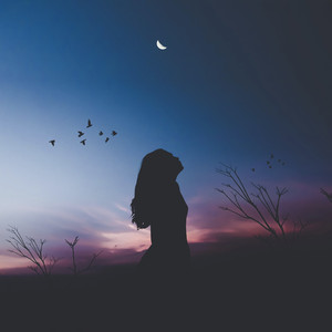 Musica Relajante (Original Mix)