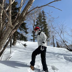 这个冬天没有雪