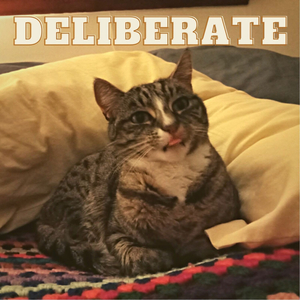 Deliberate