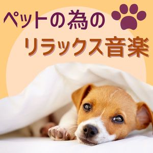 アニマルセラピー