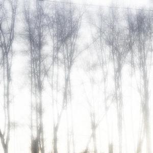 Three Years Of Silence