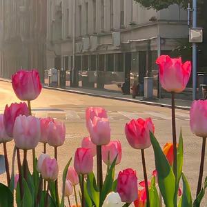 后来1648432087918_2022-03-28_094908