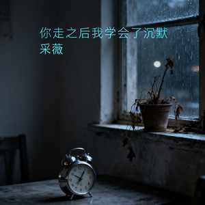 你走之后我学会了沉默