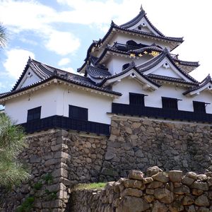 我假装抬头在看窗外的天气