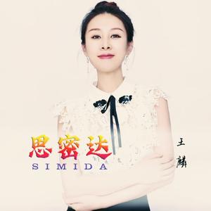 思密达 (Dj小秋版)