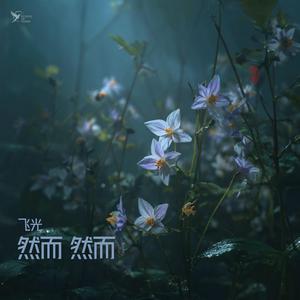 然而，然而 (And Yet)