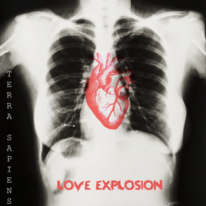 Love Explosion
