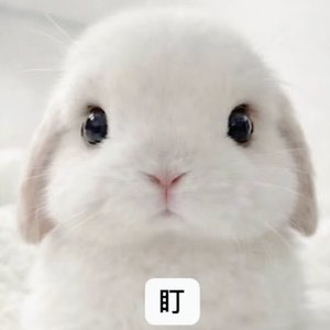 妳