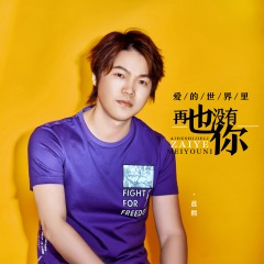 爱的世界里再也没有你 (DJ默涵版)