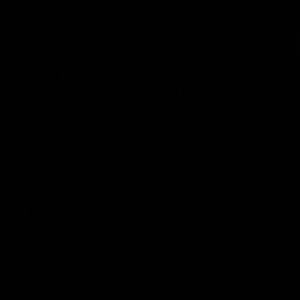 blkscrn.