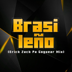 BRASILEÑO (PA GOGUEAR MIX)