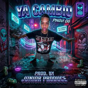 PINGUI OG (YA CAMBIO)