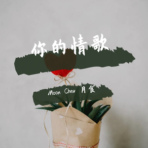 你的情歌