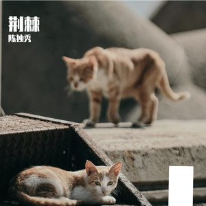 多想在平庸的世界拥抱你