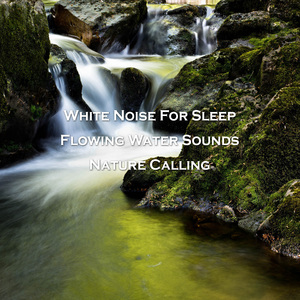 ASMR 개울물소리