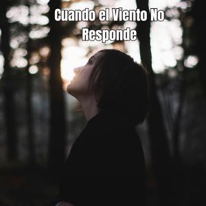 Cuando el Viento No Responde