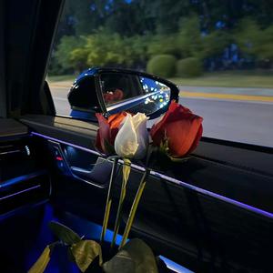 Yaxigili Kaldim 新版