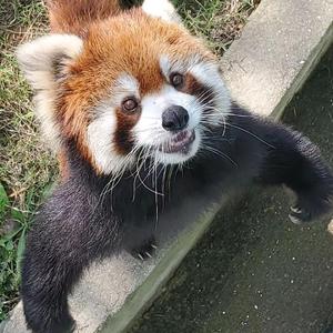 感受清晨的阳光