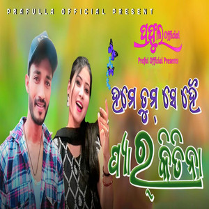 Hame Tumse Hai Piyar Kitina