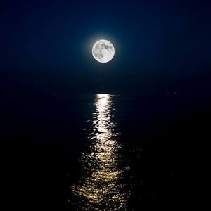 《二泉映月》二胡、小提琴与乐队