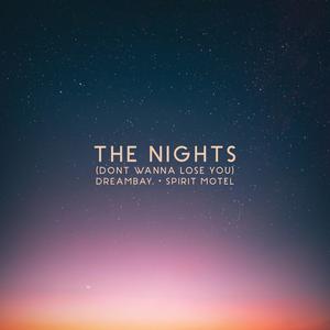 The Nights (Don't Wanna Lose You)