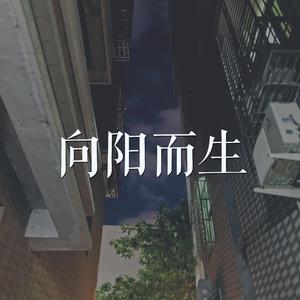 向阳而生