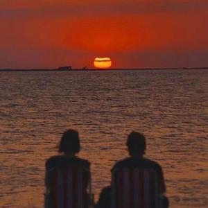 你是我每次吃鸡排饭都想给你整个鸡排的人