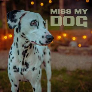 Miss My Dog #8 (Country)