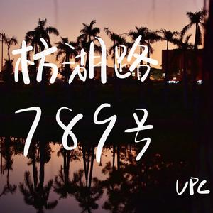 枋湖路789号调查记录