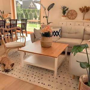 谁家的夫妻不是凑合而过