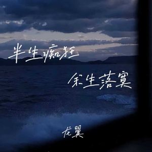 半生痴狂余生落寞