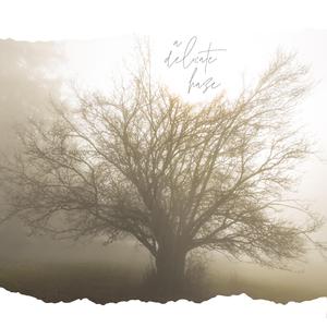 A Delicate Haze