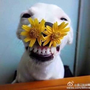 想你零点零一分（翻自 张靓颖）