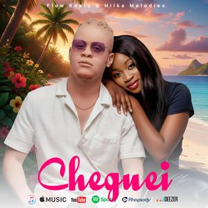 Cheguei (feat. Hilka Melodies)