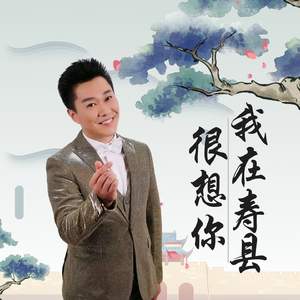 我在寿县很想你