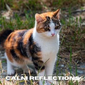 Serene Dreams (Loopable, No Fade)