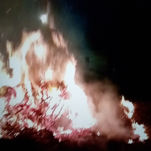 O amor chega (Acoustic Version)