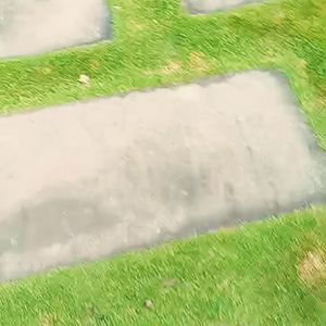 春 日光 自由泳