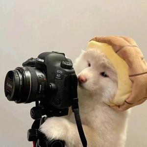 爱的哲学＋老鼠mm（降调）