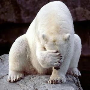 Embarrassed (Caustic 3.2.0)