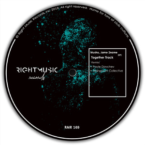 Together Track (Pavle Davchev Remix)