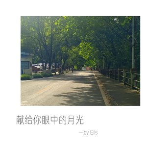 献给你眼中的月光