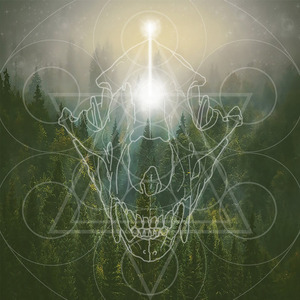 The Golden Light of Birchwood Temples