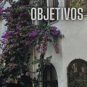 Objetivos