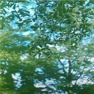 Tranquillity (#SS edit) (feat. FiGDee)