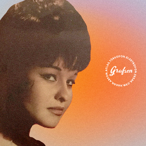 Bir Gönül Hikayesi